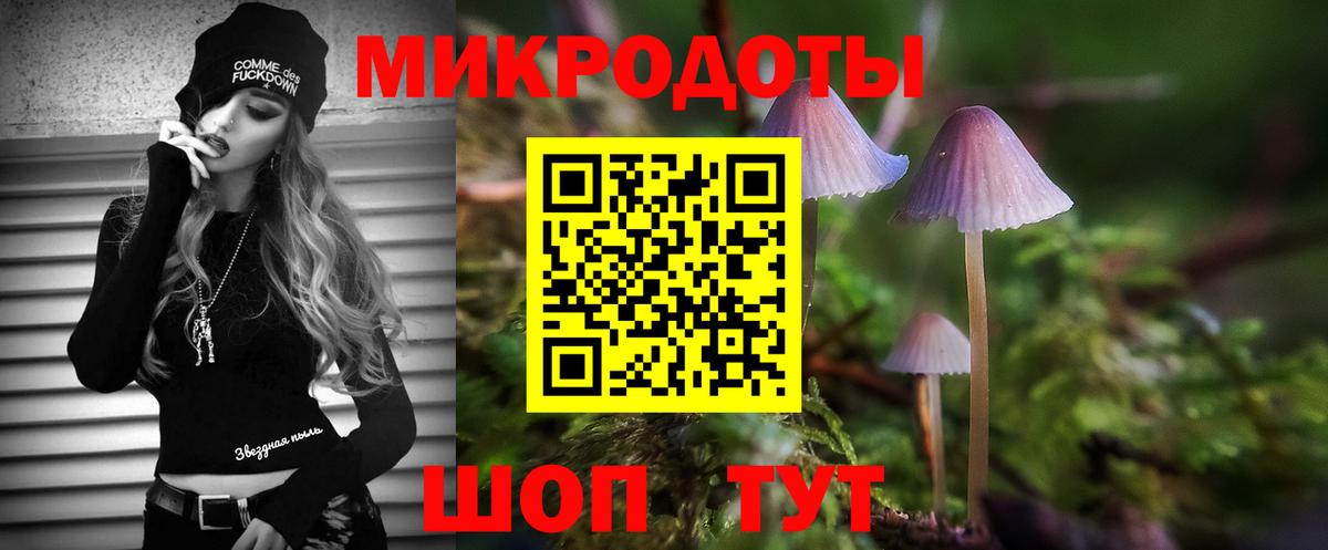 Галлюциногенные грибы Psilocybine cubensis Ржев